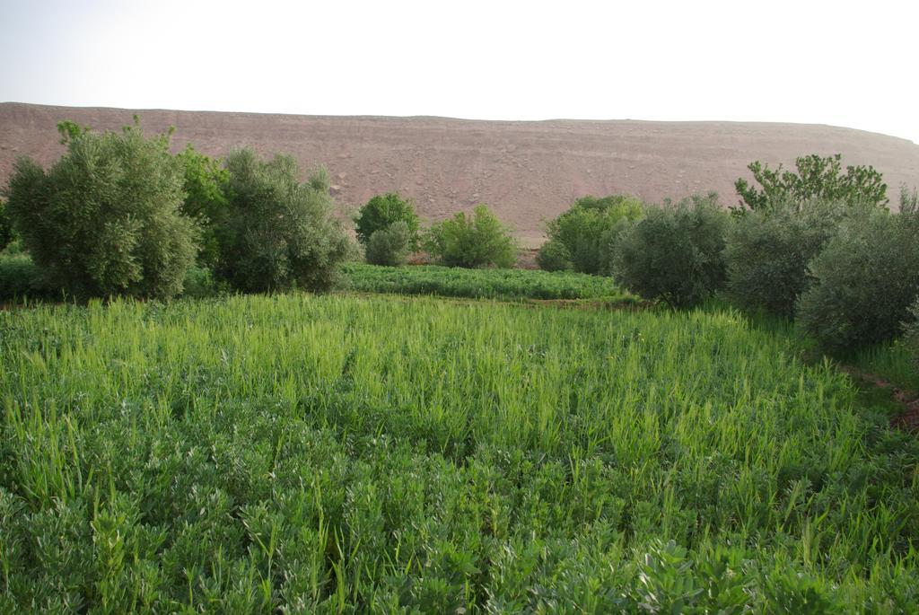 Maison D'Hotes Nouflla Ait-Ben-Haddou Eksteriør billede